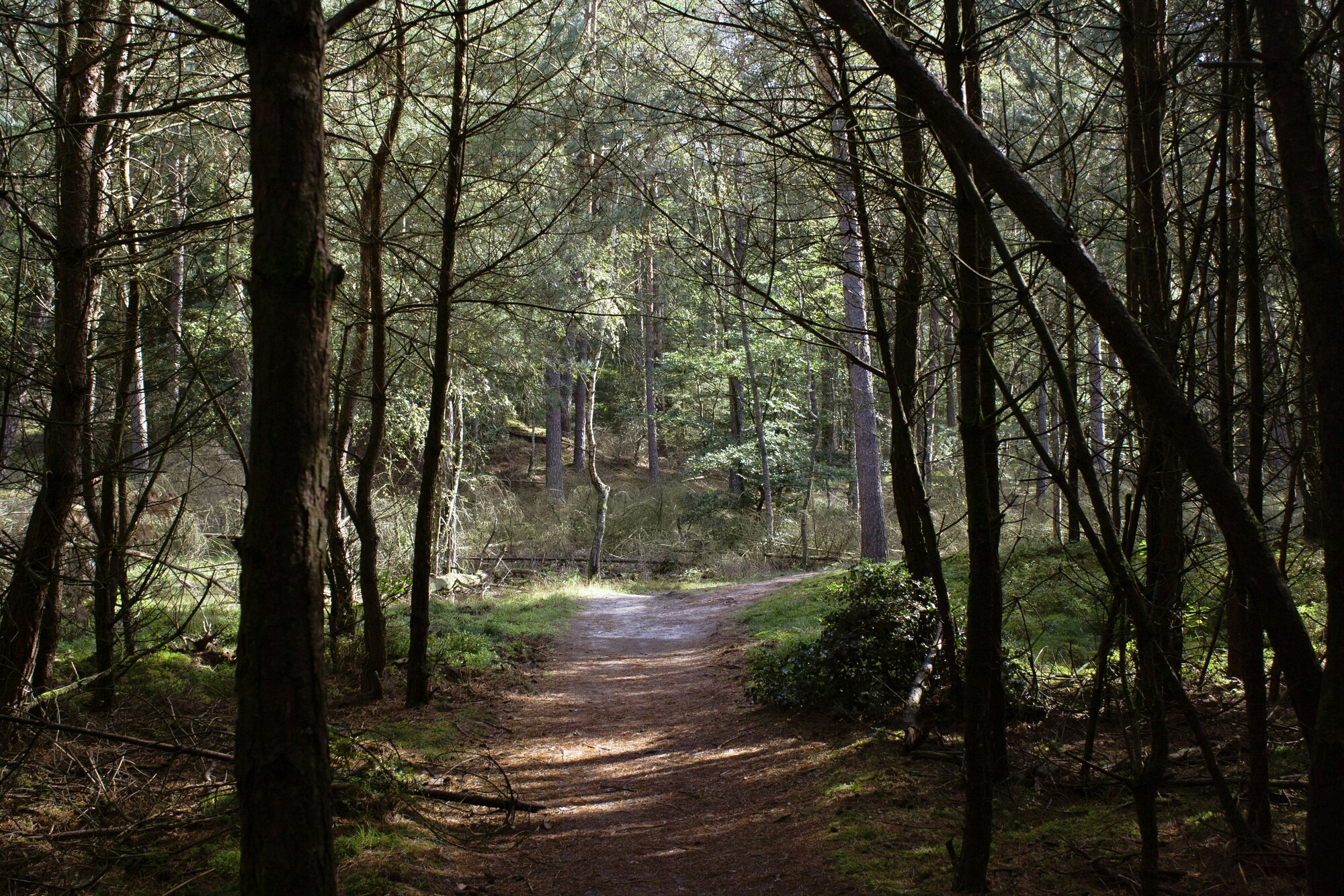 fietsverhuur.opdeveluwe.com